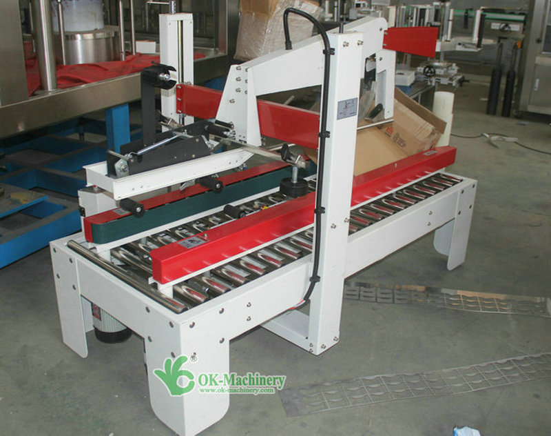 Bottle Case Filling Packer Line